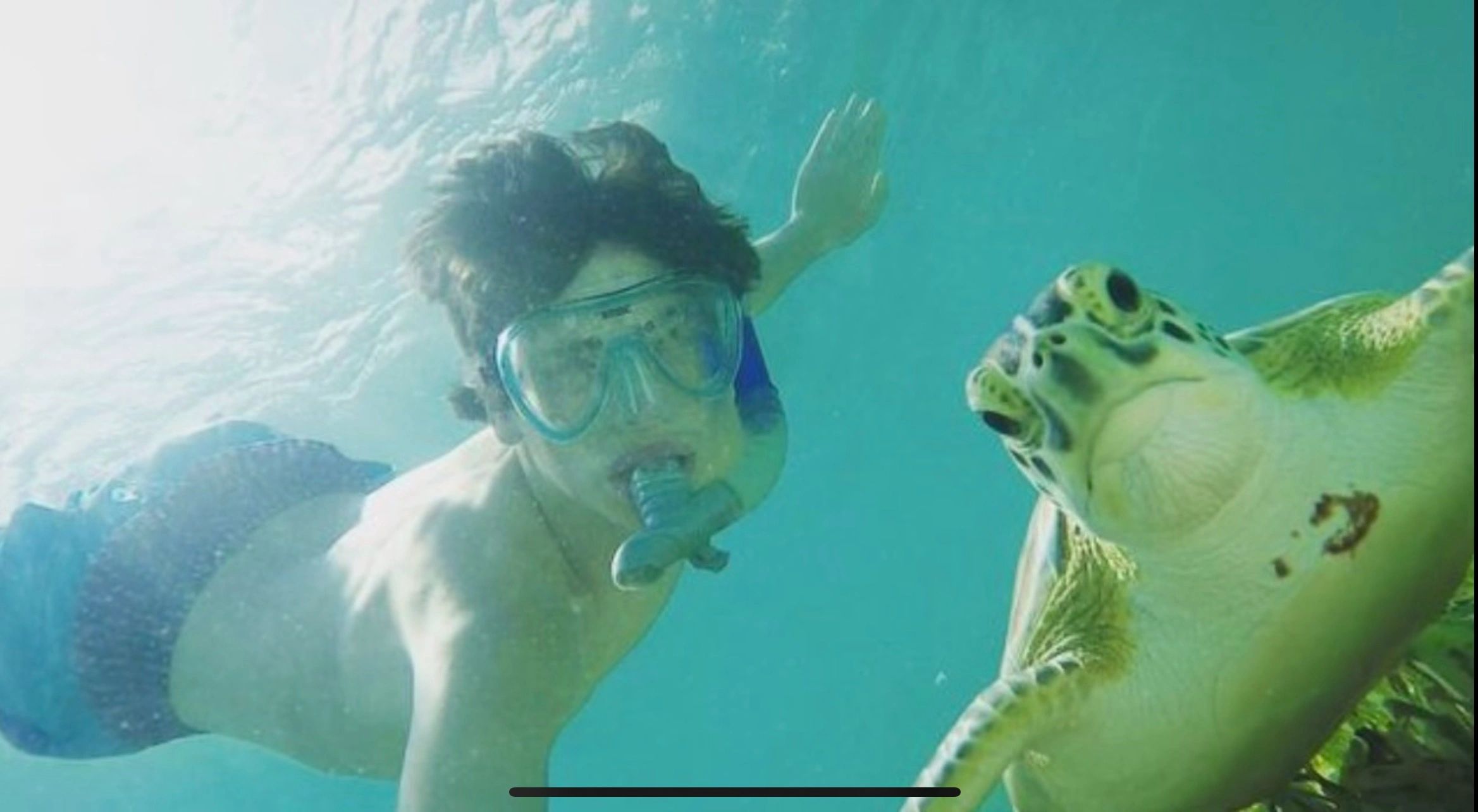 Blue Marlin Treasure Cay